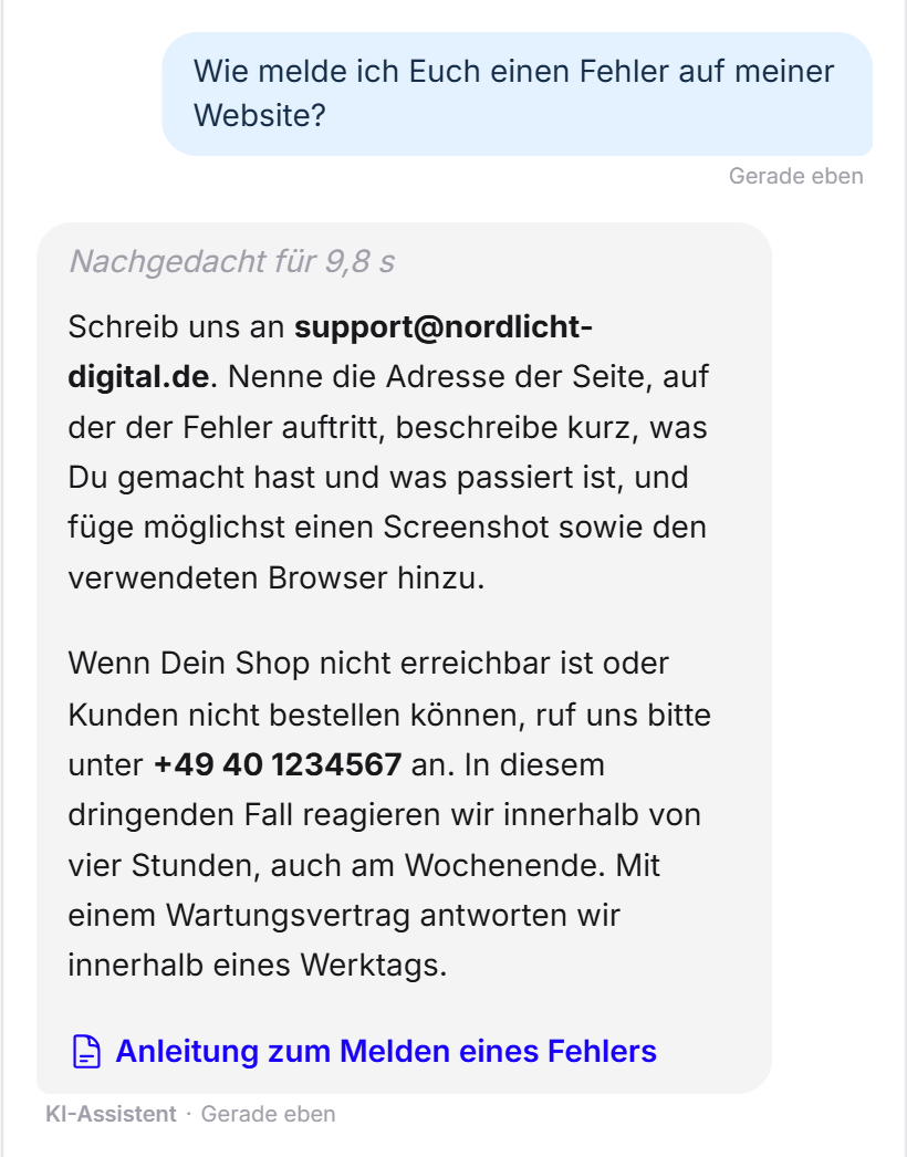 Ein Besucher fragt, wie er einen Fehler auf seiner Website meldet. Der LeadWin-Agent nennt die Support-Adresse, die nötigen Angaben und die Notfallnummer und verlinkt die Anleitung zum Melden eines Fehlers