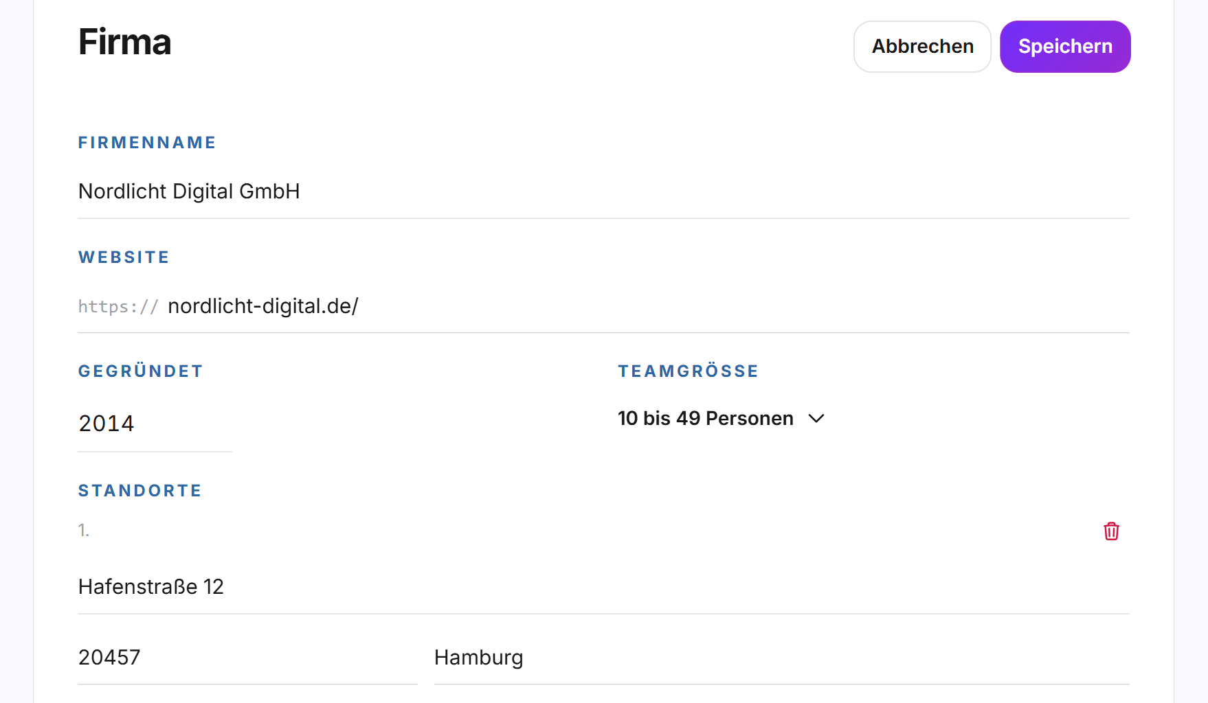 Die Gruppe Firma im Bearbeitungsmodus mit Firmenname, Website, Gründungsjahr, Teamgröße und einem Standort